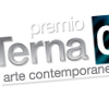 Premio Terna - Roberto Falco